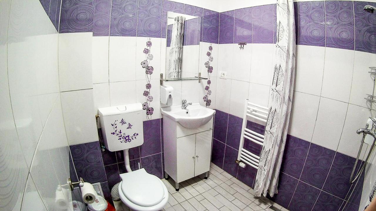 Nice & Cozy Apartments Тимишоара Экстерьер фото