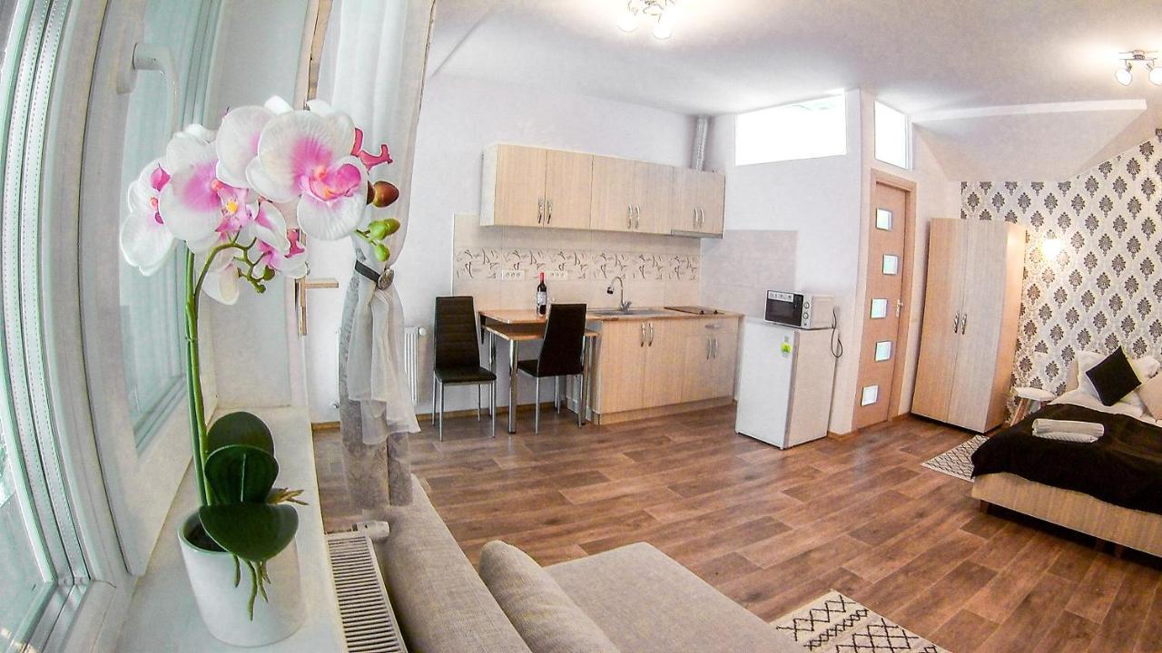 Nice & Cozy Apartments Тимишоара Экстерьер фото