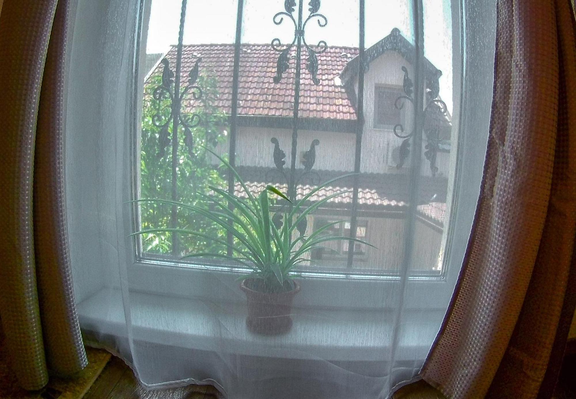 Nice & Cozy Apartments Тимишоара Номер фото